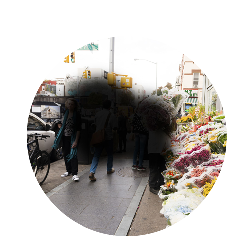 Blind Spots in Field of Vision